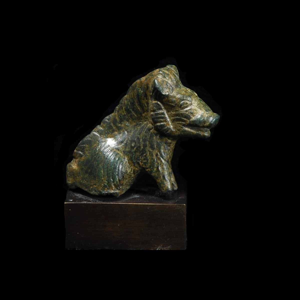 Bronze Boar “The Bristol Boar” – Christoph